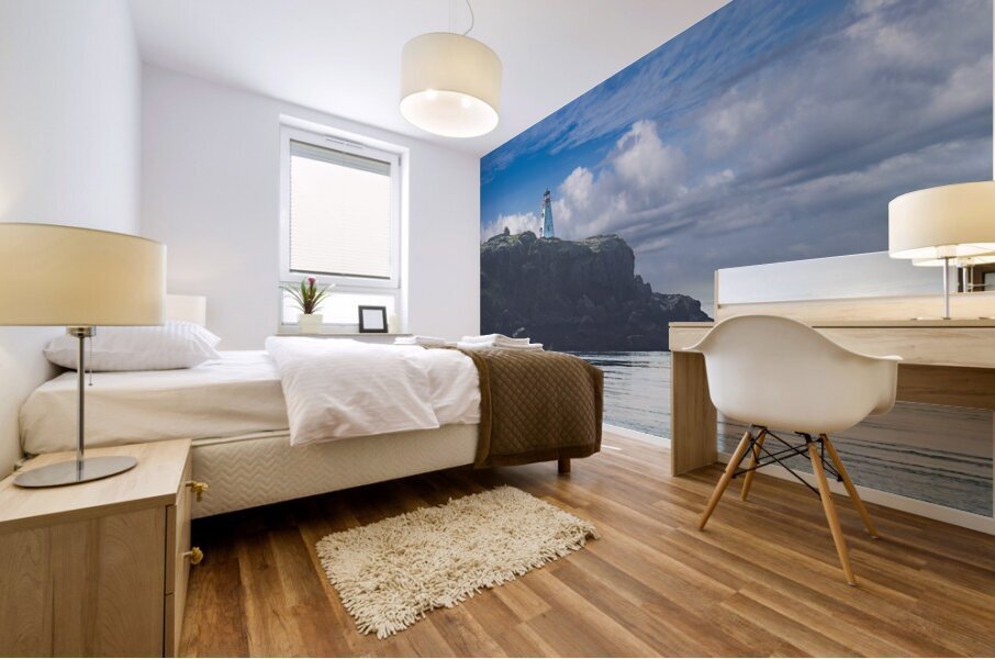 Boars Head Light Mural print