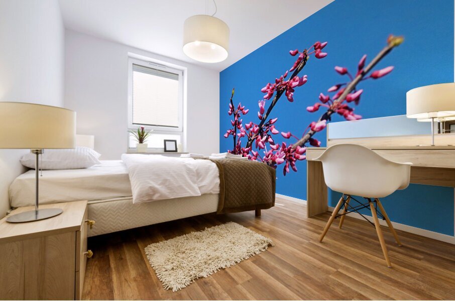 Eastern Redbud Blue Sky Mural print