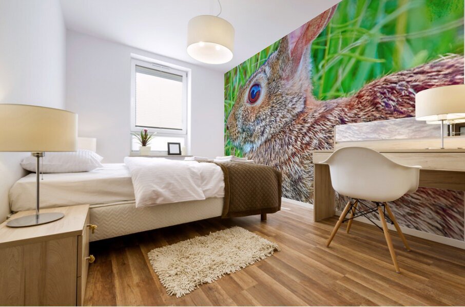 Peter Cottontail Mural print