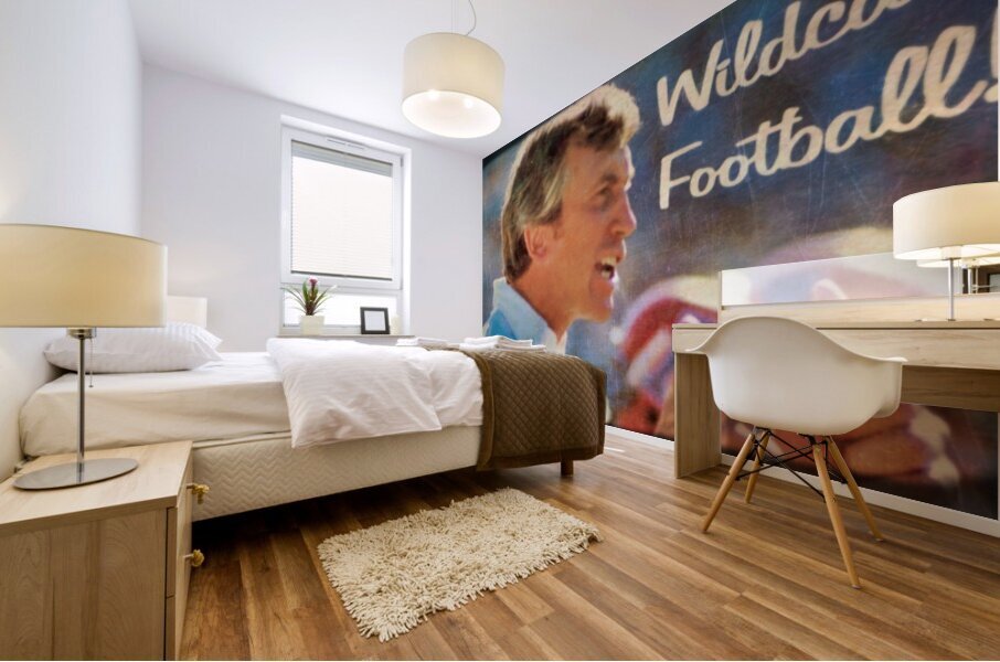 1981 Arizona Wildcats Football Viewfinder Art  Mural print