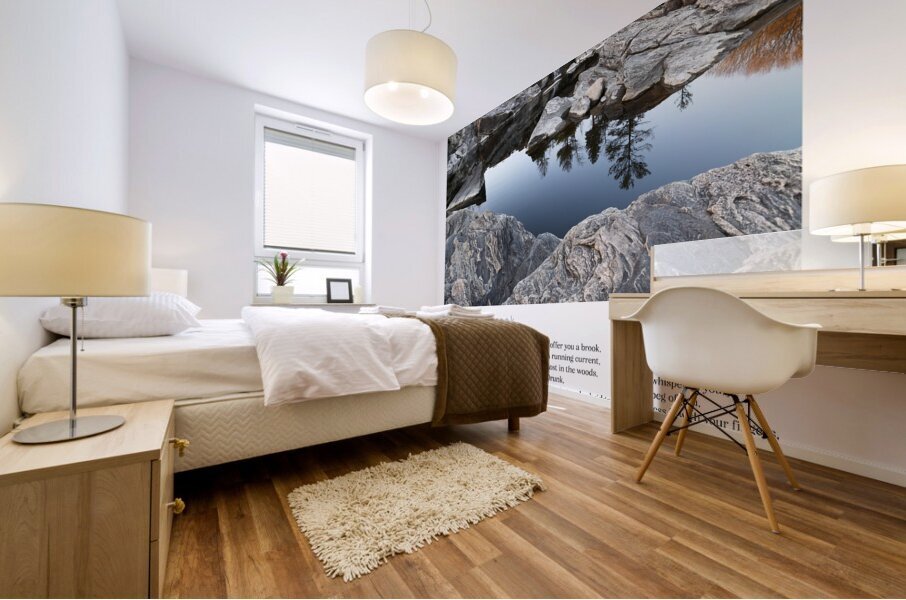 I OFFER YOU A BROOK Mural print