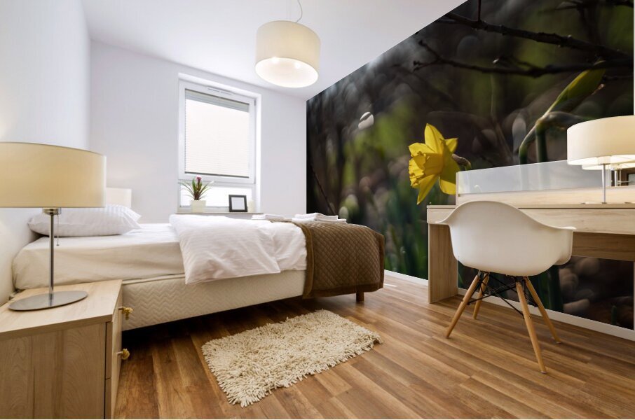 Daffodil Dreamscape Mural print