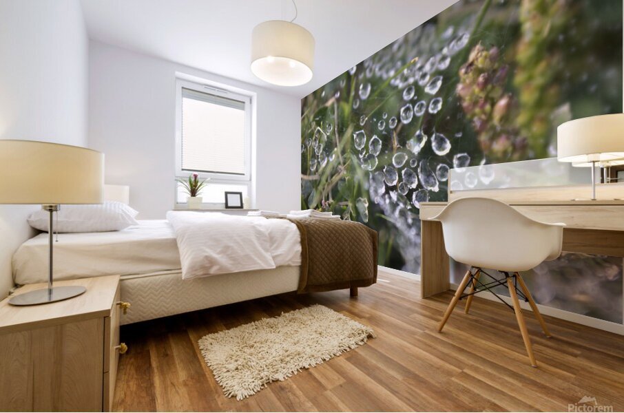 Webbed droplets Mural print