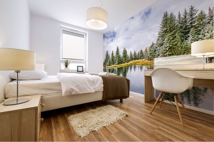 Schwabacher Mural print