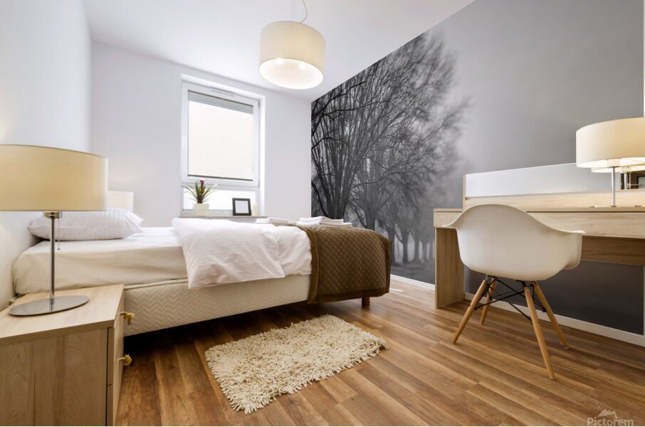 Trees in fog  Mural print
