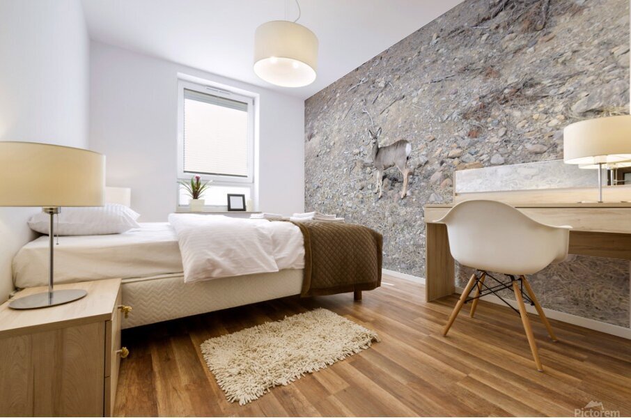 Look closely Mural print