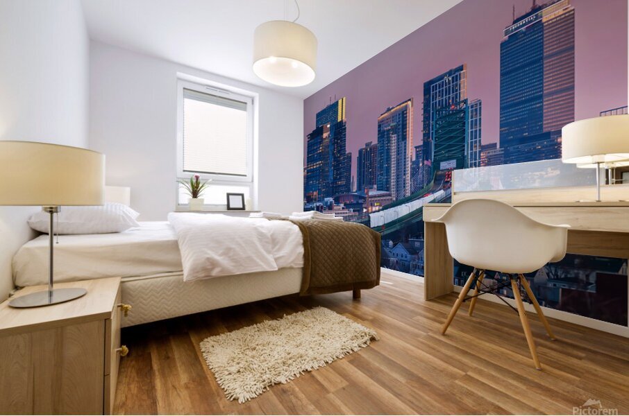Back Bay Sunset Mural print