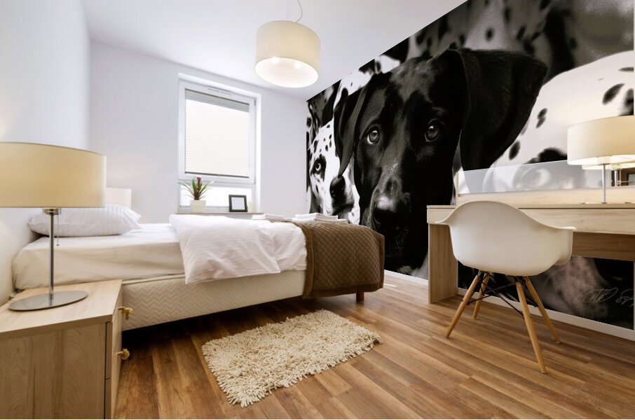 Dalmatian Mix - Curious Dog Mural print