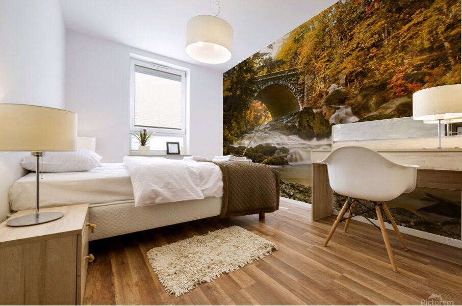 Profiles Falls Autumn  Mural print