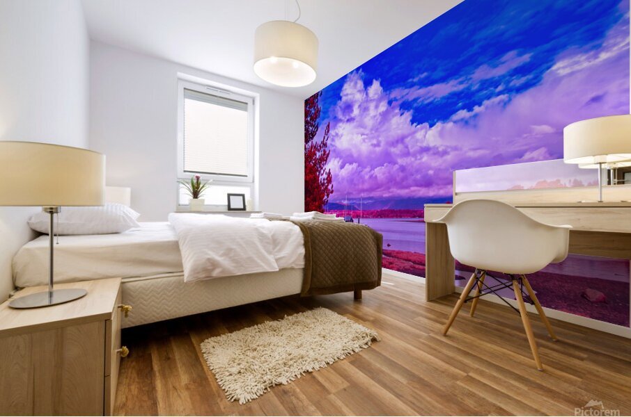 Magnificent Clouds Mural print