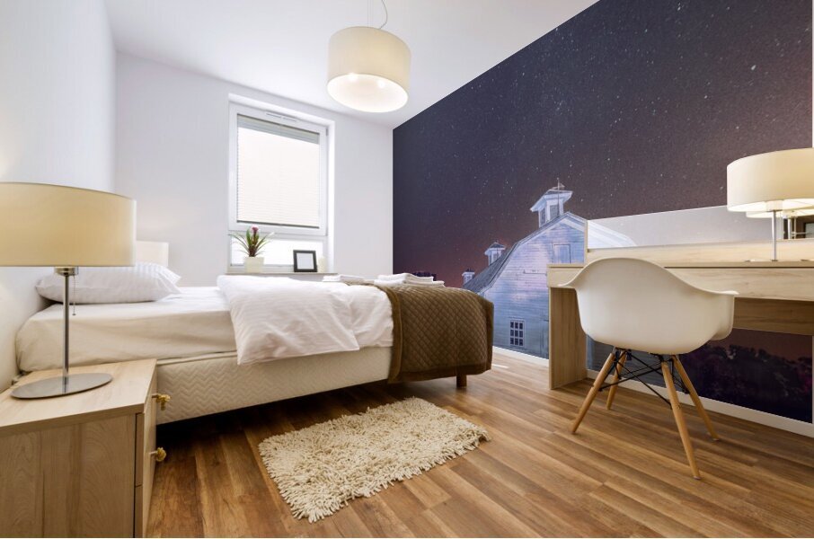 Virginia White Barn Under the Stars Mural print