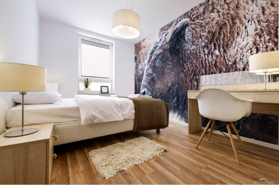 Young Buffalo II Mural print