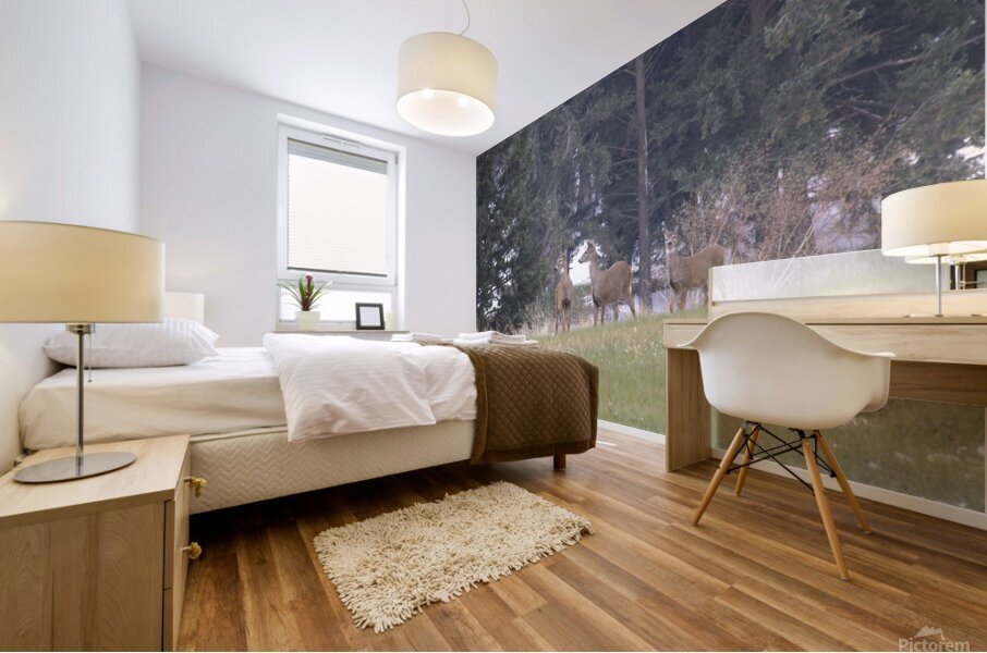 3 deer Mural print