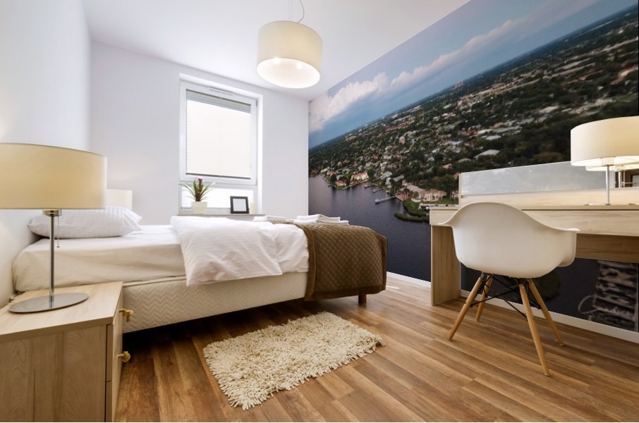 Aerial city view Mural print