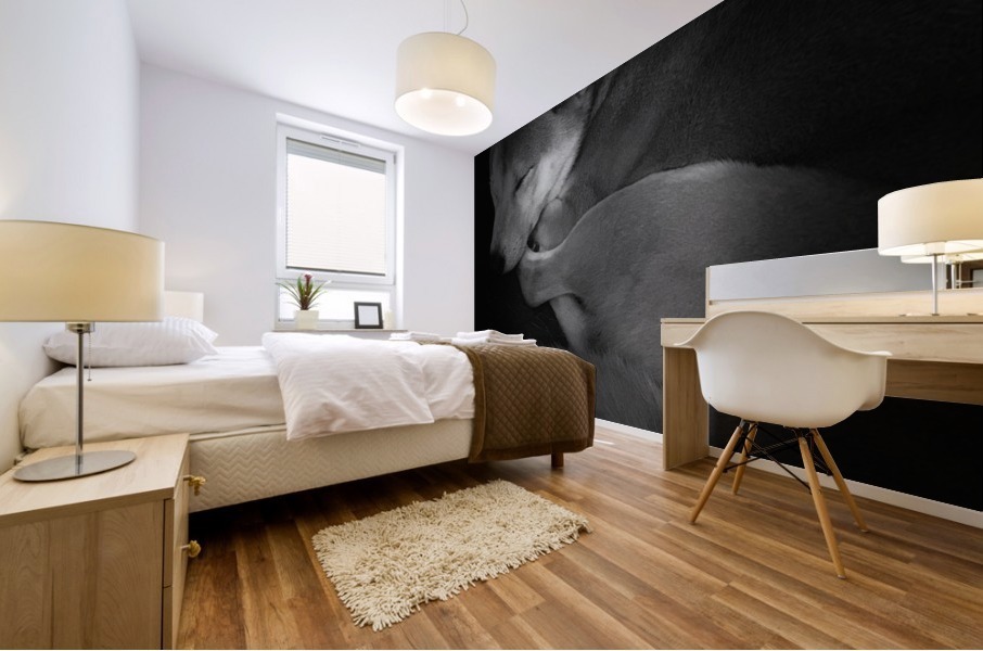 Black and White dog Mural print