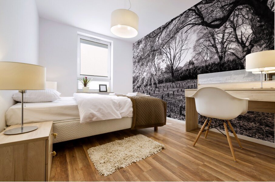 lynchburg old city cemetery BWpink Mural print