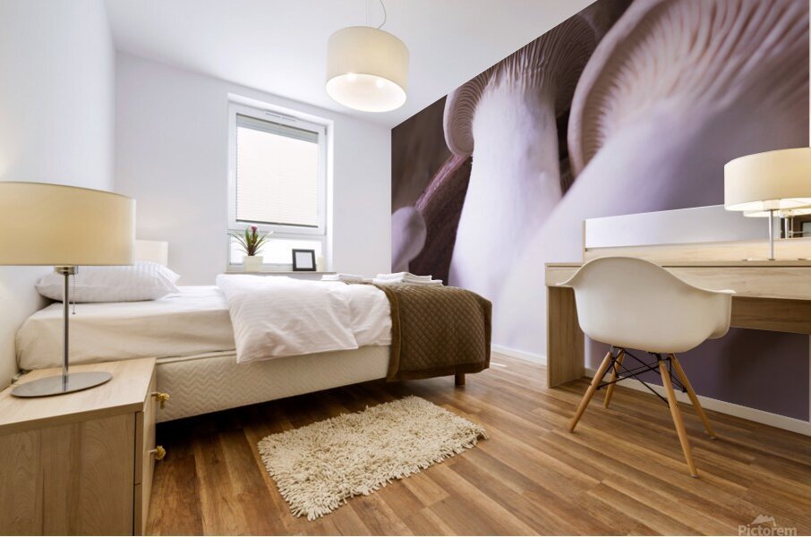 Mushrooms Mural print