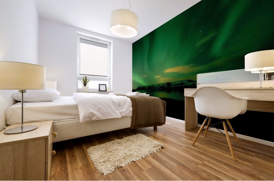 green northern lights on lake Mural print