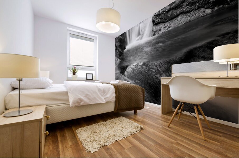 North Carolina River Runs Through It Mural print