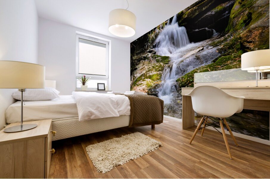 Blue Ridge Duggers Knob Waterfall Mural print