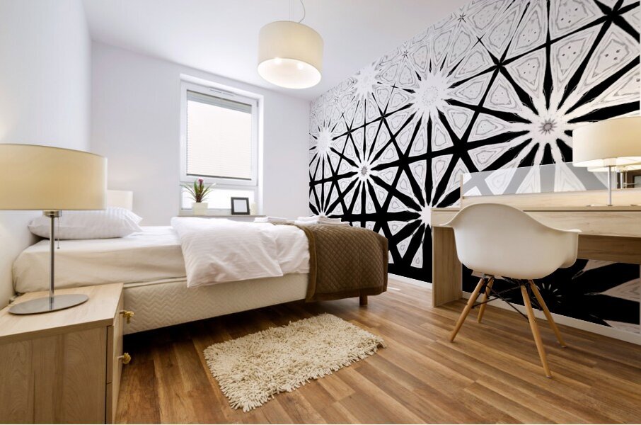 Abstract Black and White Stars Design Mural print