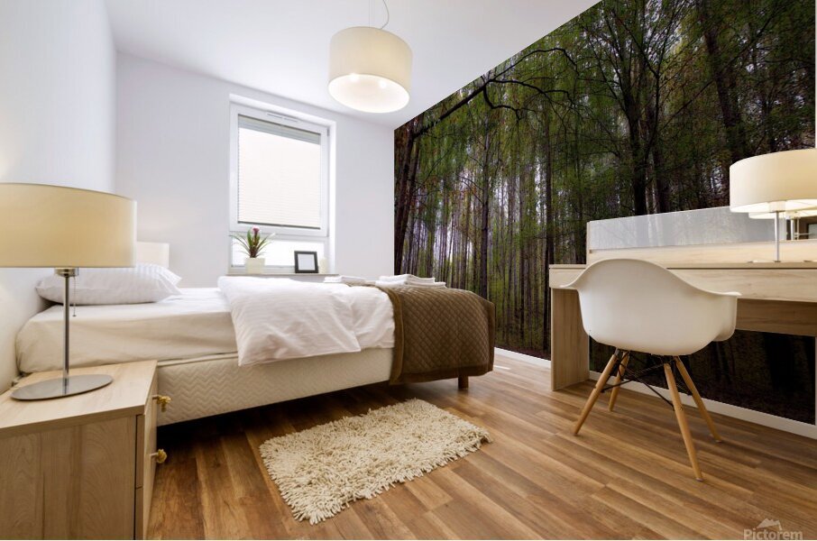 Abbey Woods Mural print