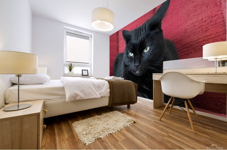 Black Cat Red Chair Mural print