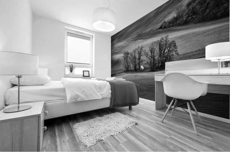 Little Chapel in Moravia Mural print