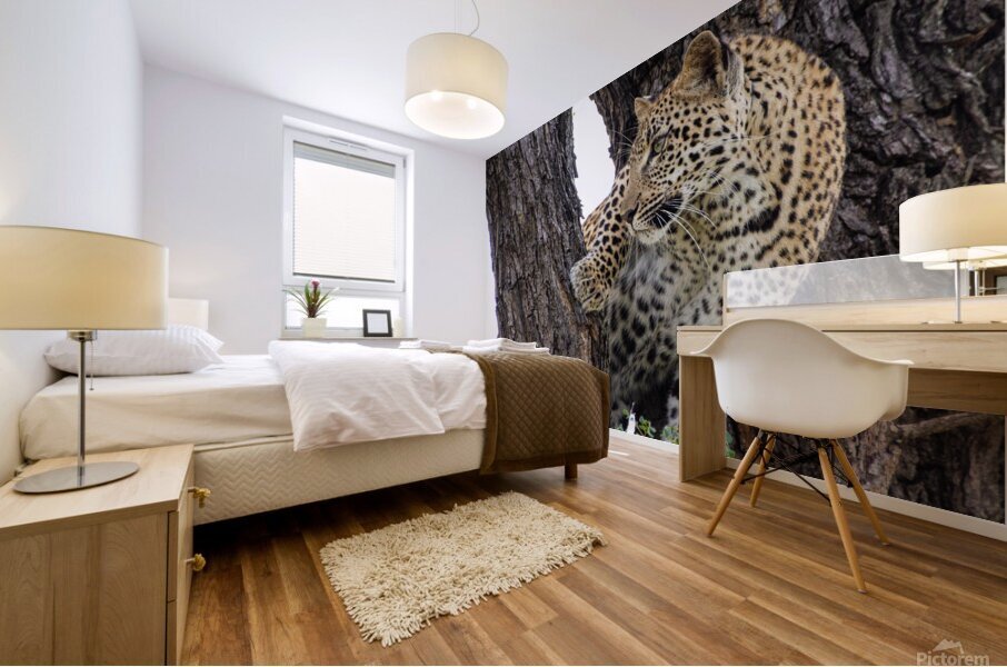 Leopard in Tree Fork Mural print