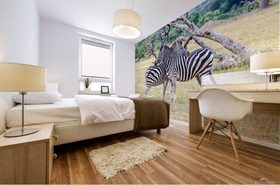 Zebras Mural print