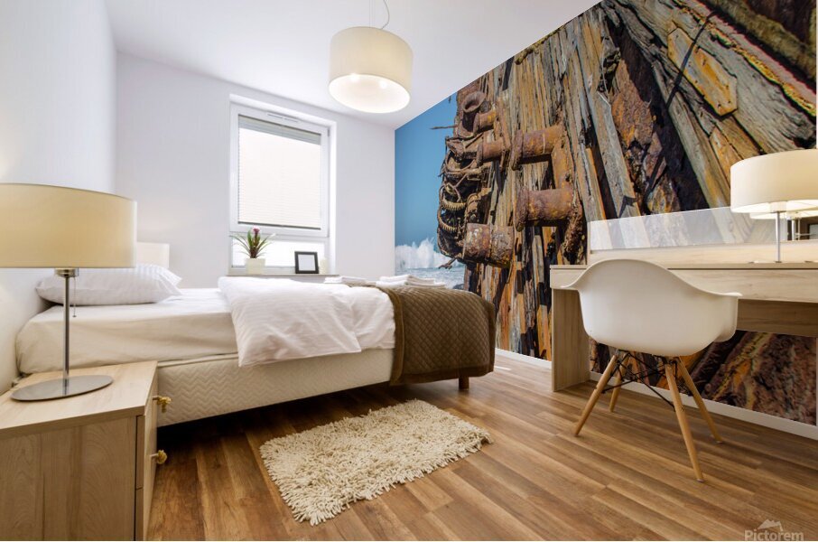 Shipwreck Mural print