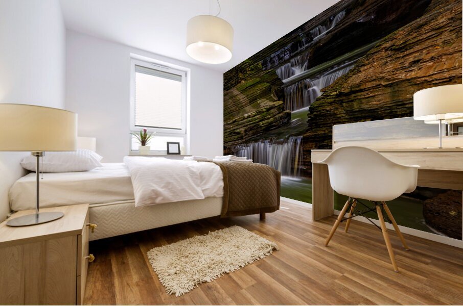 Watkins Glen stairway Mural print