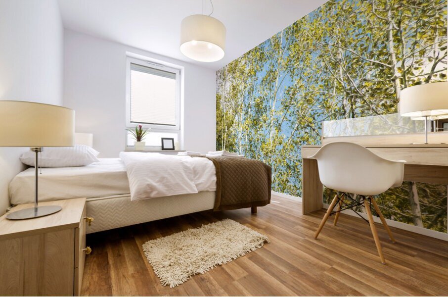 Aspen and Blue Skies Mural print