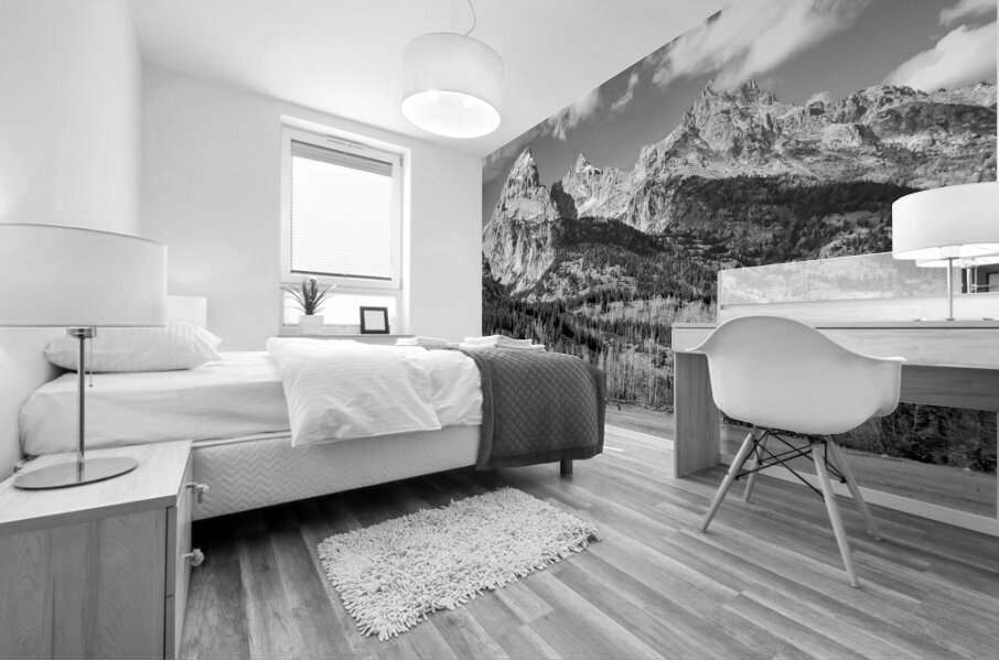 Teton Barn Alone in the Wilderness in Black and White Mural print