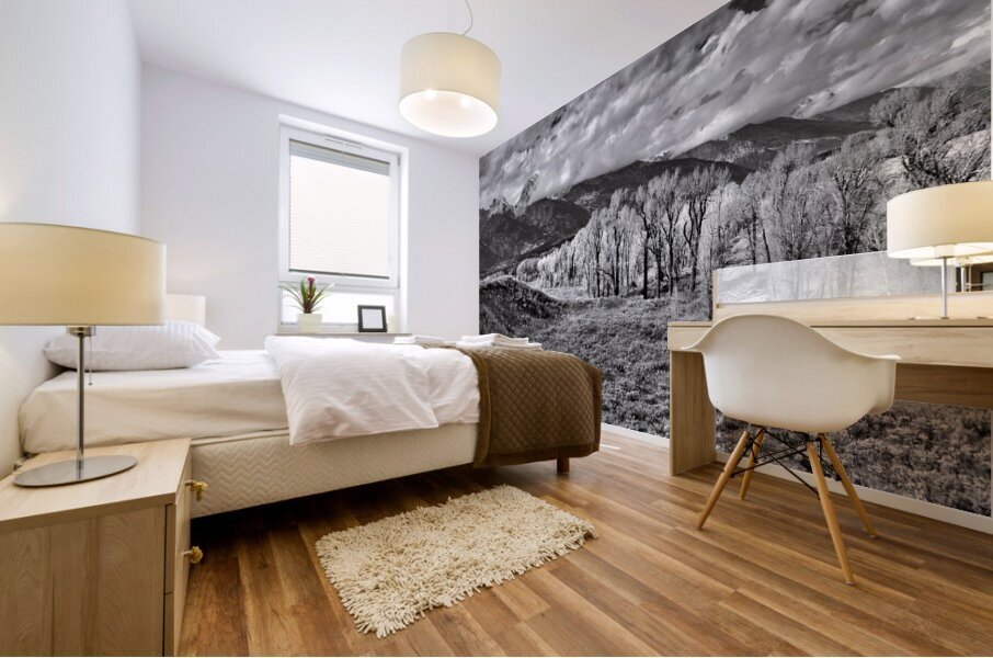 Teton Mountain  Valley View in Black and White Mural print