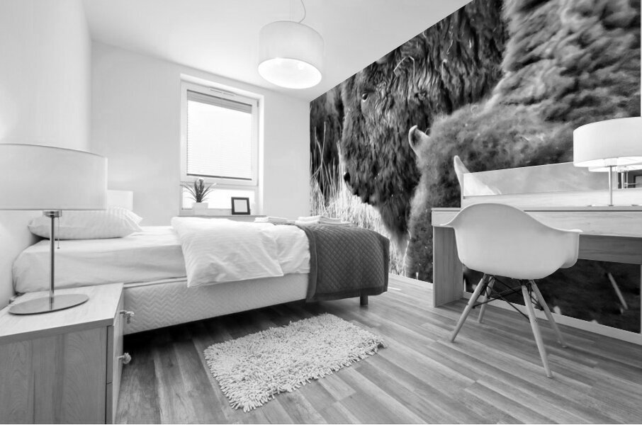 Yellowstone Buffalo in Black and White Mural print