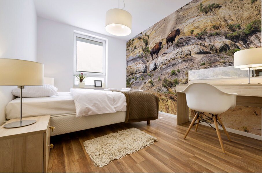 Badlands Bison Mural print