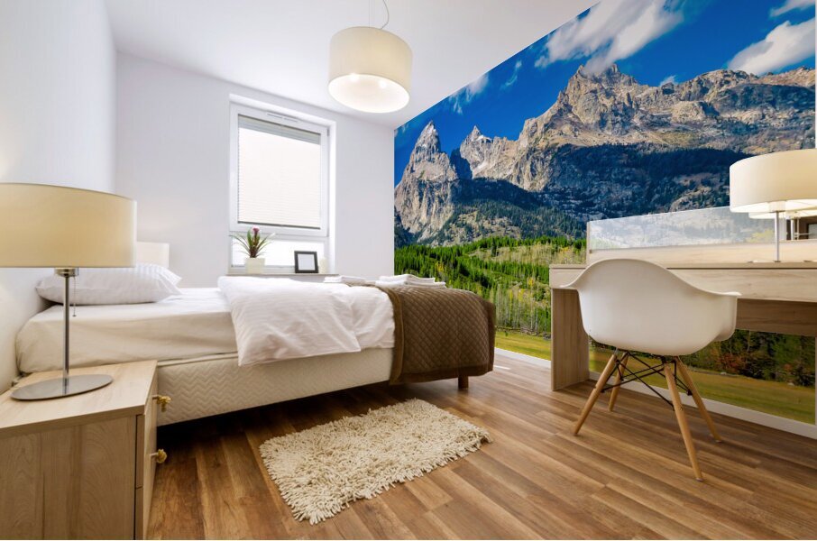 Teton Cabin Alone in the Wilderness  Mural print
