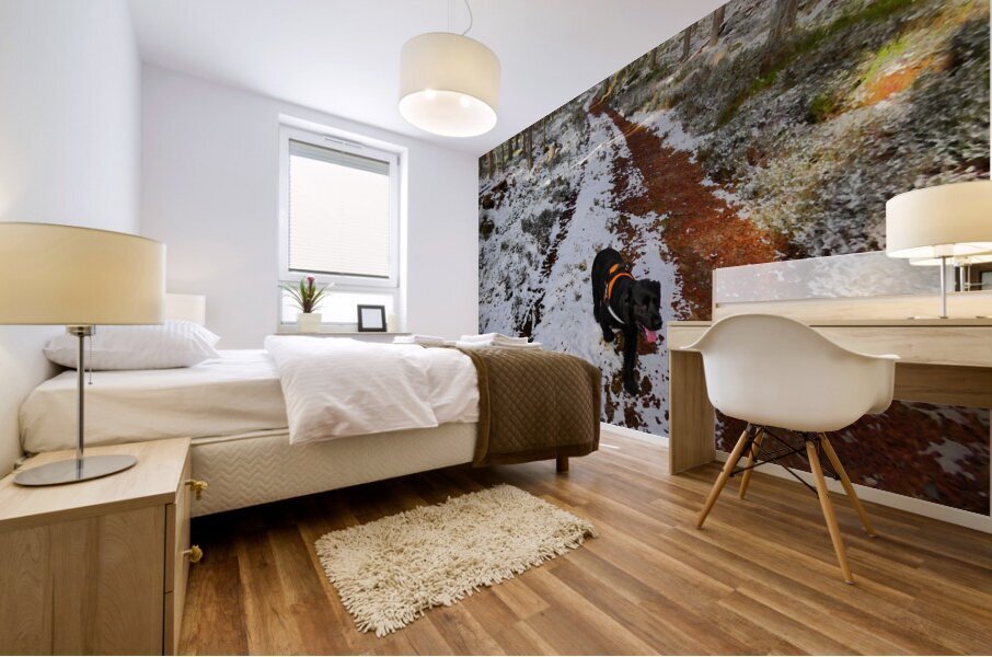  A Winters Walk in the Woods in the Scottish Highlands Mural print