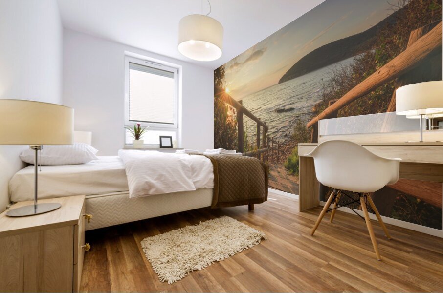 Descent to the sea in Cala Violina beach in Tuscany Mural print