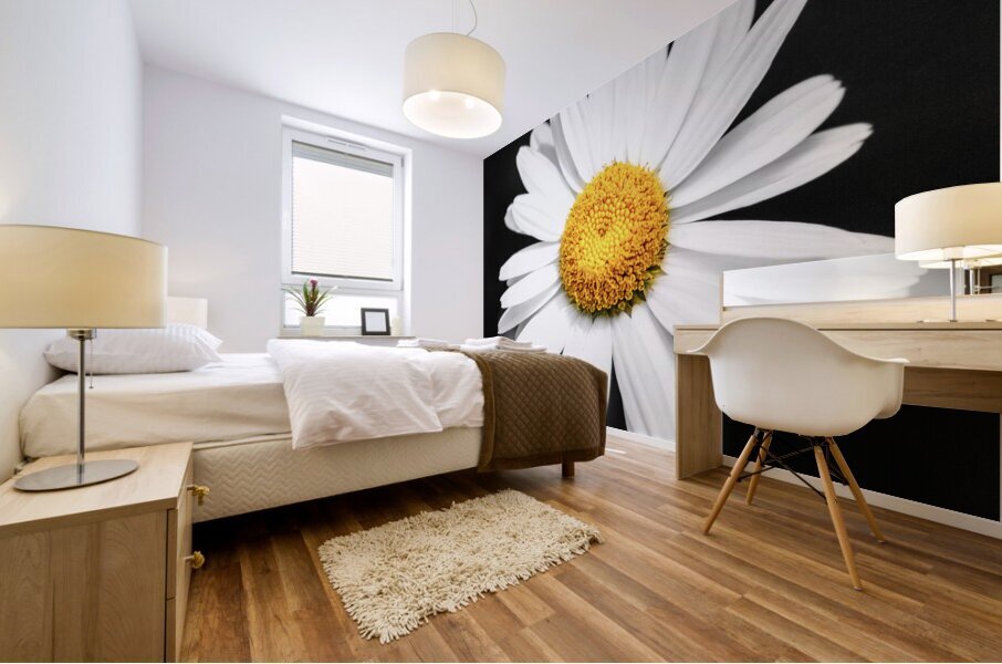 Lone Daisy in the Dark Mural print