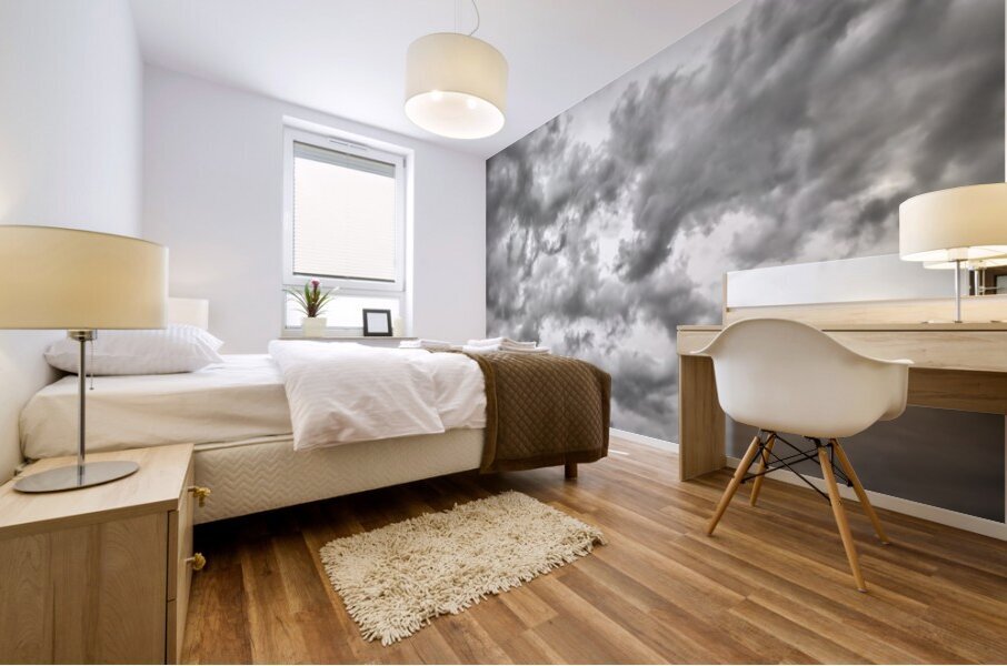 Rain Storm On the Way  Mural print