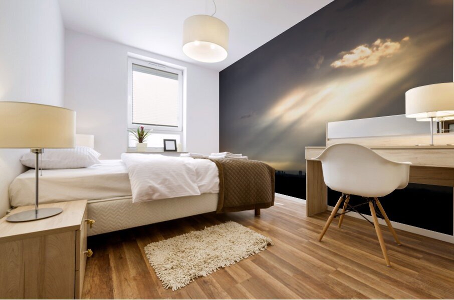 Sunbeams Over Mississauga Mural print