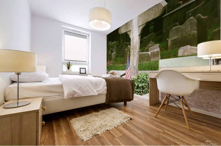 CCBG Phila 07 Mural print