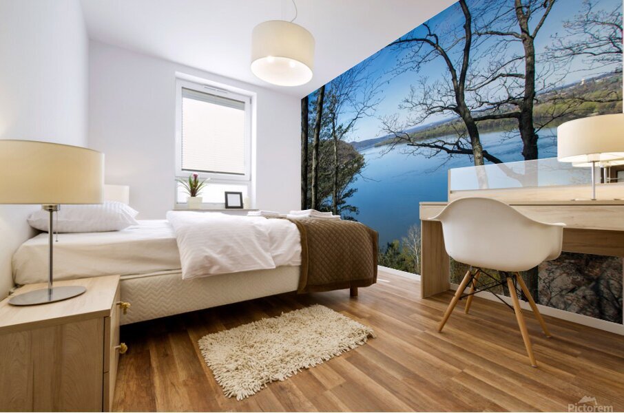 Through to the Susquehanna River Mural print