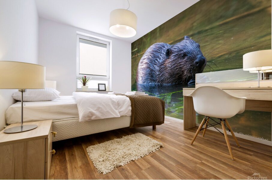 Hungry Beaver Mural print