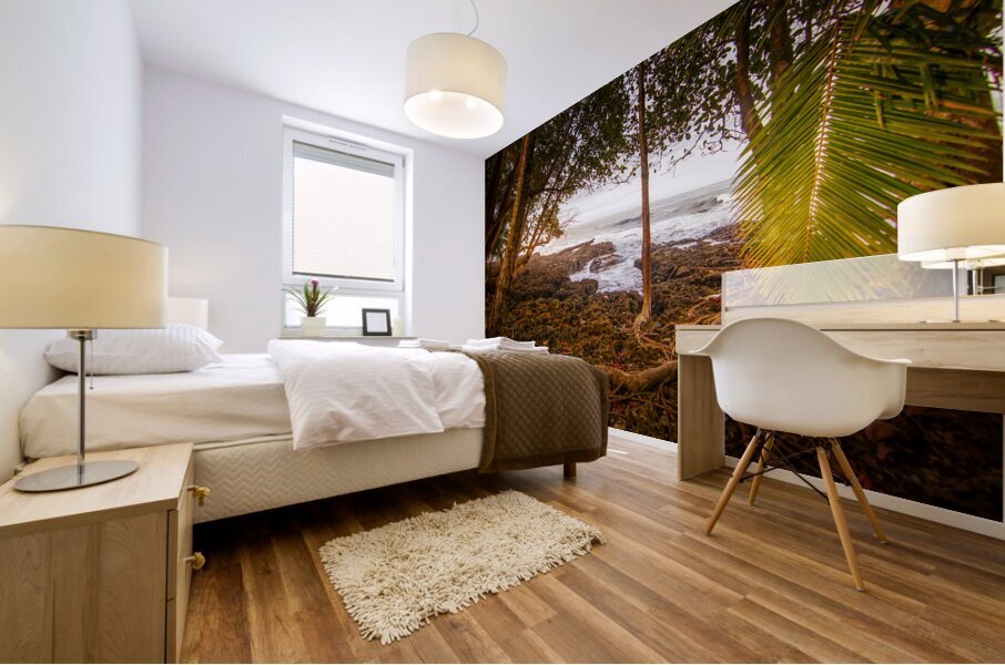 Meandering through the Costa Rica Jungle Beach Mural print