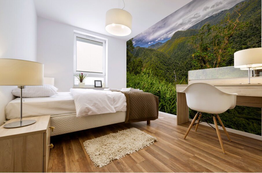 Costa Rica Colors of the Rainforest Mural print