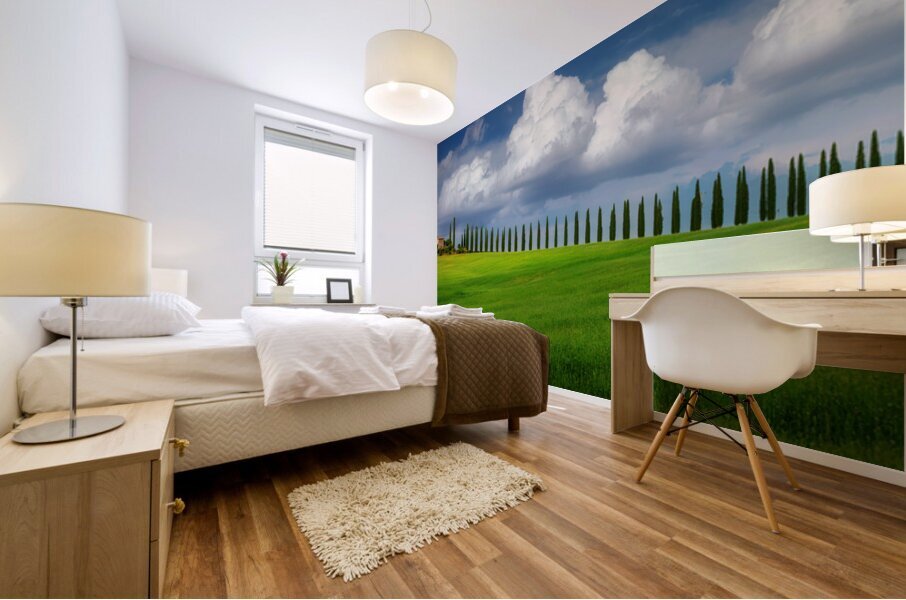 Viale di Cipressi Mural print