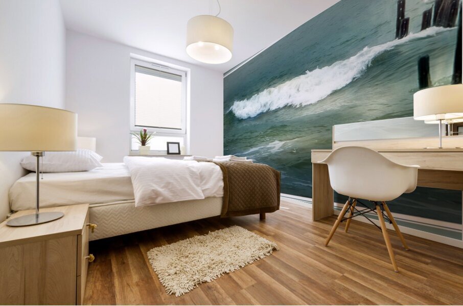 Sea Gulls Shaken Not Stirred in Costa Rica Mural print